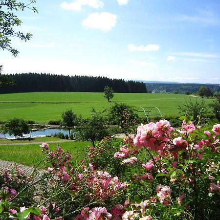 Gaestehaus Schloss Kronburg Kültér fotó